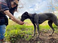 Shot of admin assistant Tamar with her dog